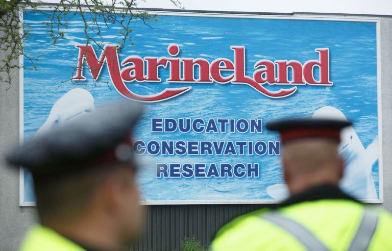 Ontario files charges against Marineland for its treatment of black bears