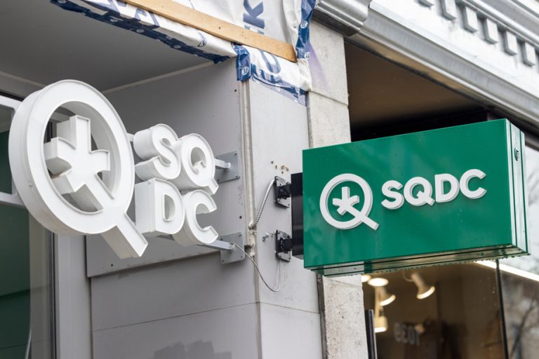 Quebec Cannabis Society |  Rampant growth is a thing of the past