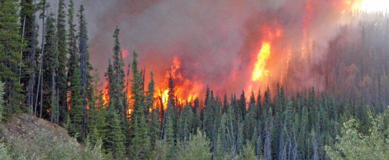 Forest fires: compensation of $1,500 per house evacuated