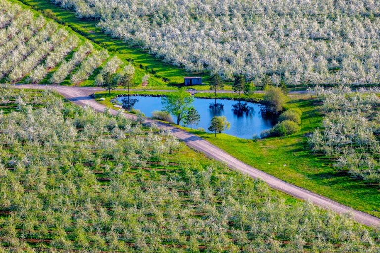 Quebec seen from the air |  The Six Indigenous Seasons: Spring