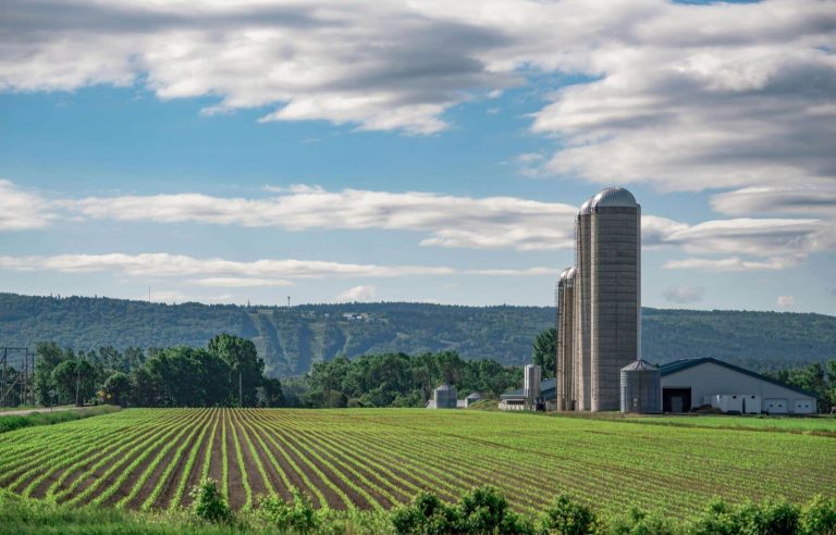 Quebec will reopen the law on the protection of agricultural land