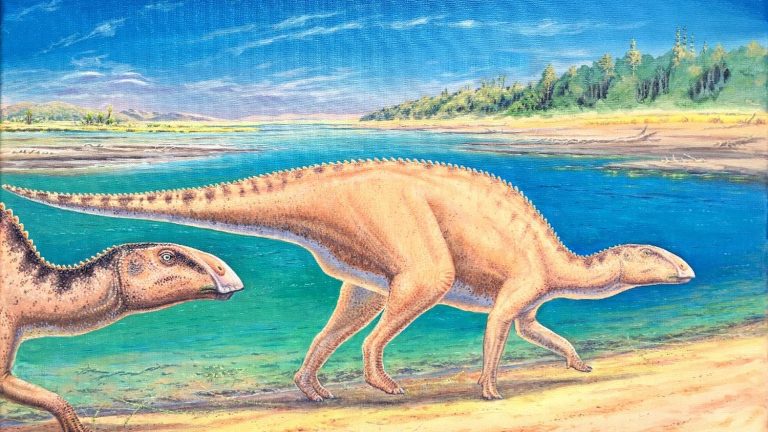 Remains of a dinosaur never recorded in South America discovered in Chile