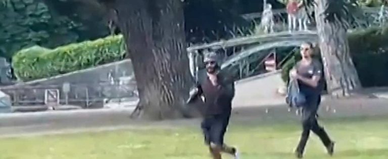 “Run!  Run!”: a man sows terror in a park in Annecy, France