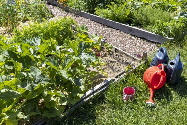 Sharing economy, garden sauce