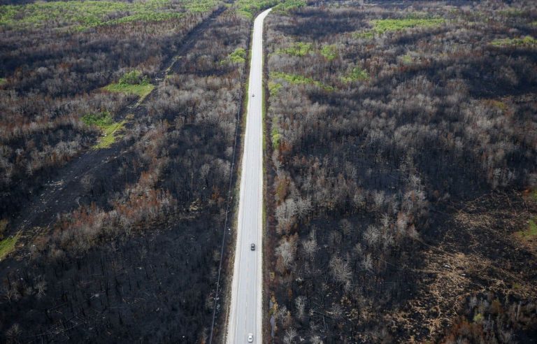 Solutions to reduce the risks associated with forest fires