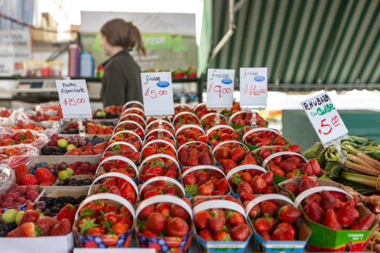 Something new at Jean-Talon Market