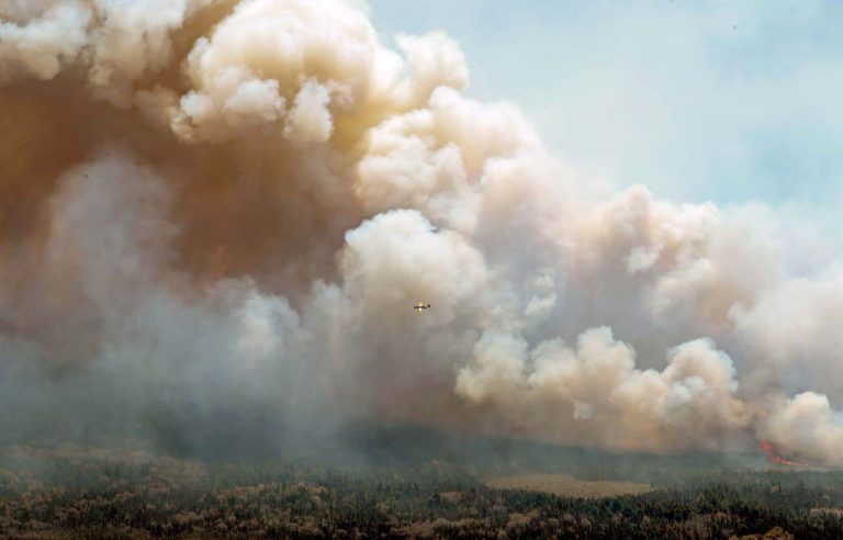 South African and American firefighters help Canada against forest fires