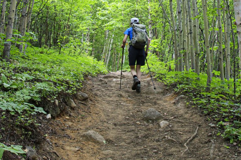 Take advantage of sunny days while protecting yourself from ticks