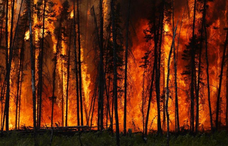 The 20th century, relative respite from forest fires in Quebec