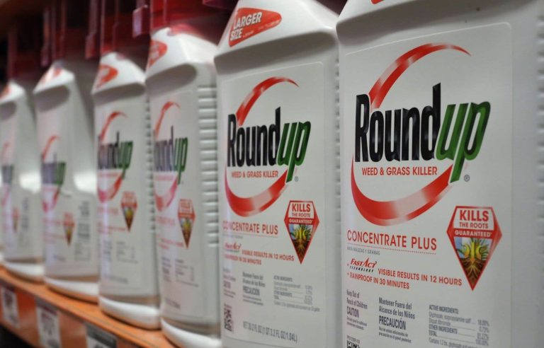 The City of Quebec wants to ban the sale of glyphosate from 2024