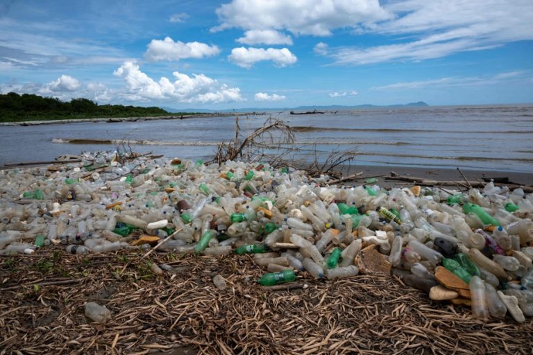 The editorial answers you |  Our (pathetic) fight against plastic