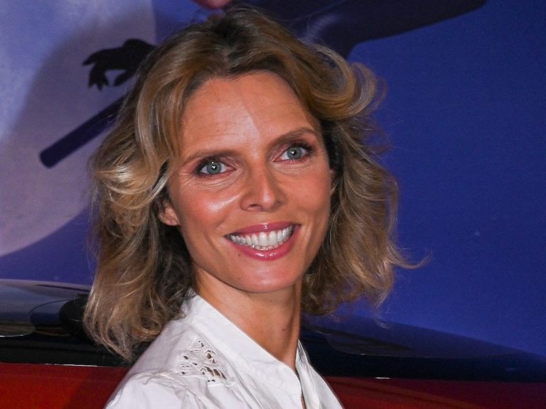 The former general manager of the Miss France company, Sylvie Tellier, has been made a knight of the Order of Merit: the Web is rising up!