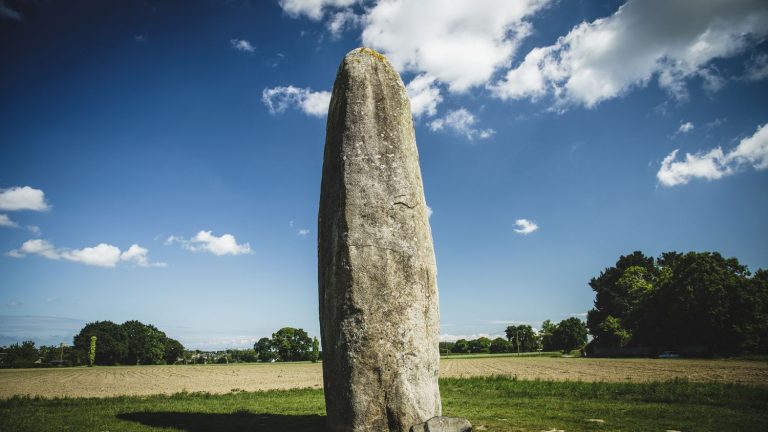 The song defends the menhirs, the old houses and the trees, against the promoters