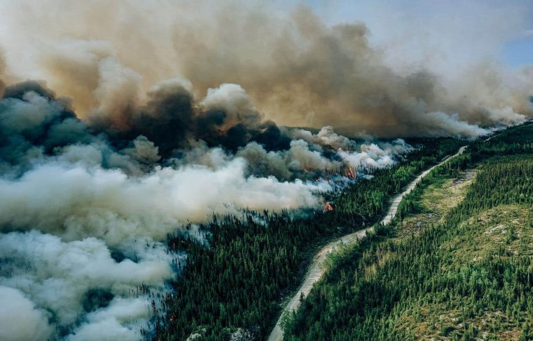 The vast majority of forest fires in Quebec were started by lightning