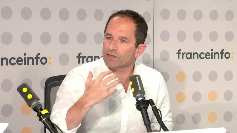 “Tomorrow migration will not be the problem, but perhaps the solution”, says Benoît Hamon