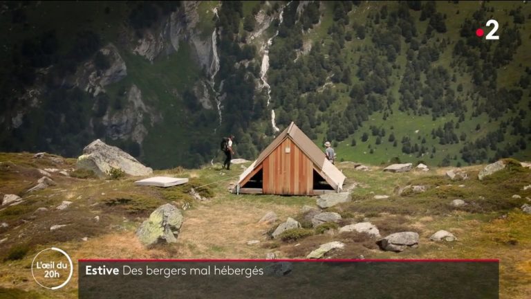 VIDEO.  Shepherds say they are housed in “dog houses” and denounce their living conditions