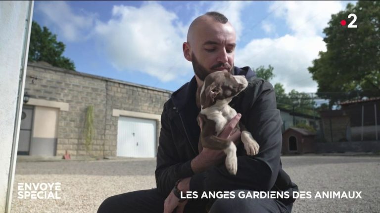 VIDEO.  guardian angels of animals