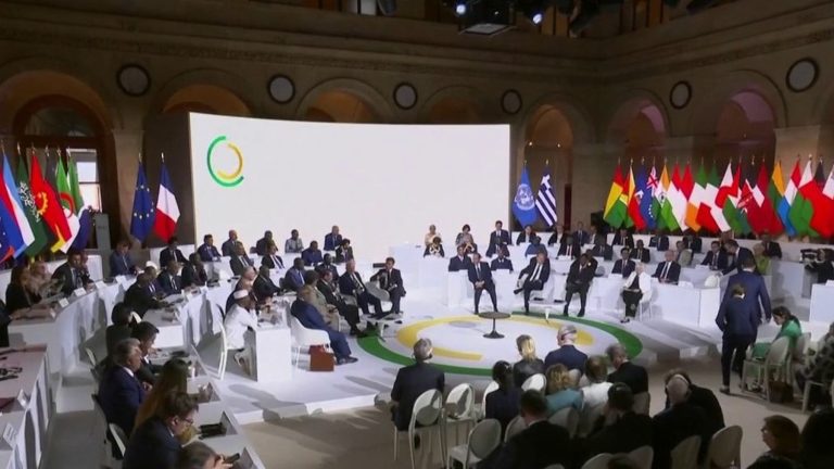 What conclusions can be drawn from the summit organized in Paris?