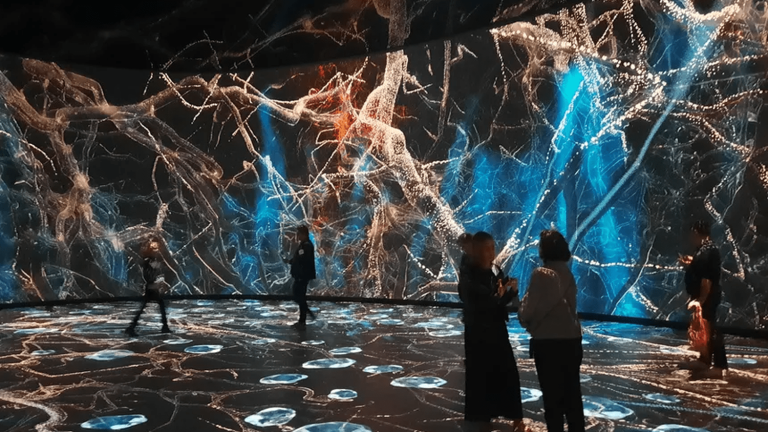 With “Invisible Worlds”, the New York Museum of Natural History offers a new experience