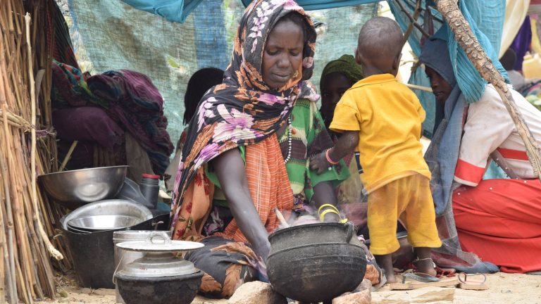 World Refugee Day: the mass exodus of inhabitants in Venezuela, Chad receiving victims of the war in Sudan