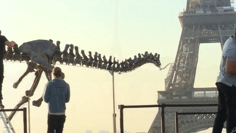 a dinosaur skeleton exposed in the middle of the city