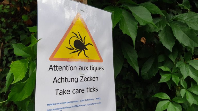 a map shows the presence of ticks in the regions of France