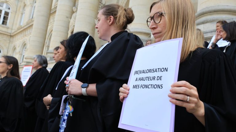 court clerks demonstrate for better recognition of their profession