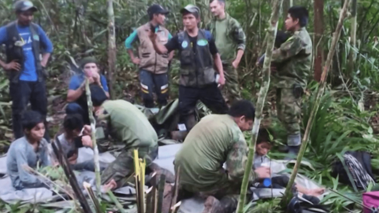 four children found alive after 40 days alone in the Amazon rainforest