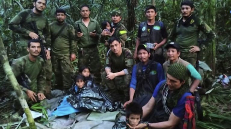 four children found alive in the jungle after a plane crash