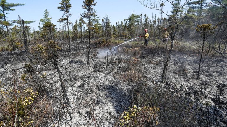 gigantic forest fires continue to ravage the country from west to east