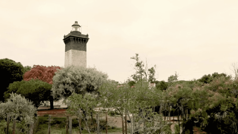 large natural spaces attract visitors to the Camargue