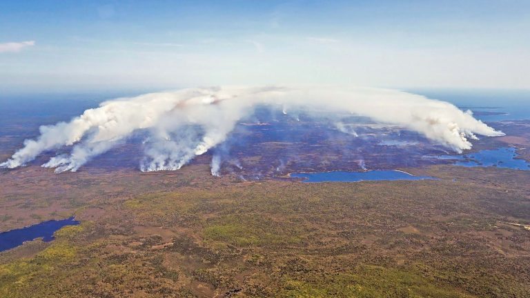 more than 2.7 million hectares burned since January, eight times more than the average of the last 30 years