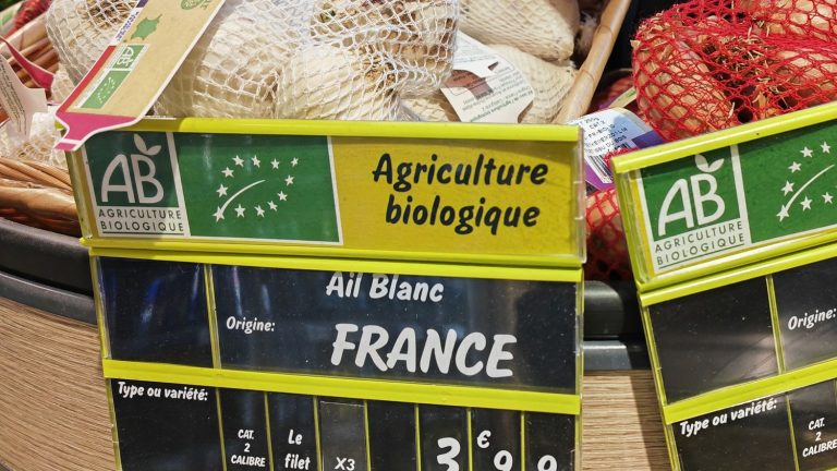 organic represents 6% of the shopping basket of the French in 2022, down slightly over one year