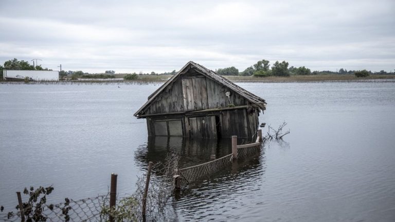 pollution, destroyed crops, endangered wildlife… What is the extent of the ecological disaster after the explosion of the Kakhovka dam?