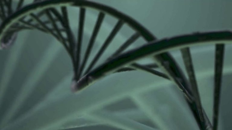 scientists draw inspiration from DNA to answer storage problem