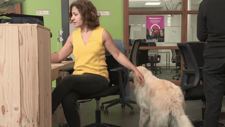 take your dog to the office to flourish there