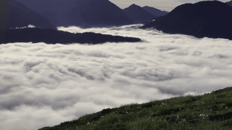 the Swiss national park protected from all human intervention