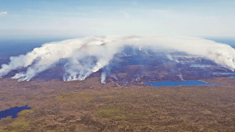 the east of the country in flames