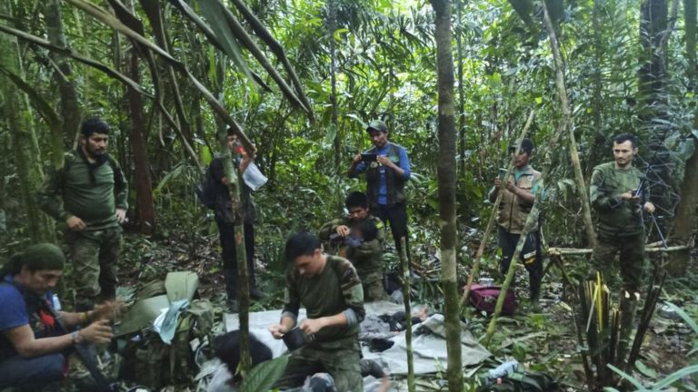 the four children, missing in the jungle for 40 days, found alive