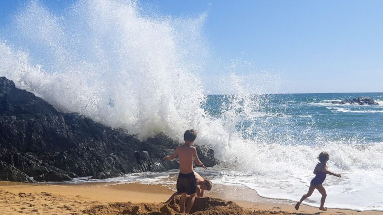 the oceans have never been so warm