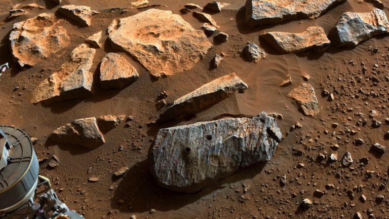 this rock could give us valuable information about primitive life on Mars