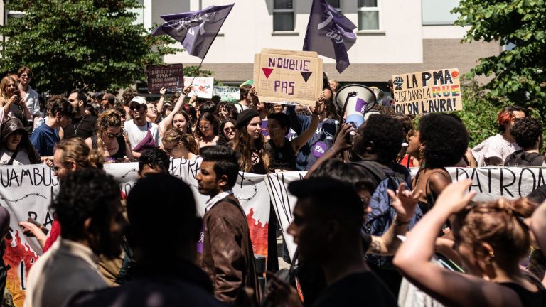 thousands of demonstrators parade in Saint-Denis for the “march of pride in the suburbs”