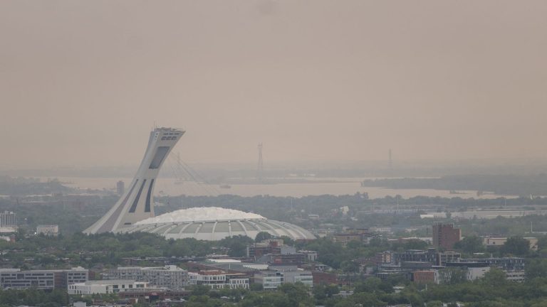 toxic smoke from wildfires affects Ottawa and New York