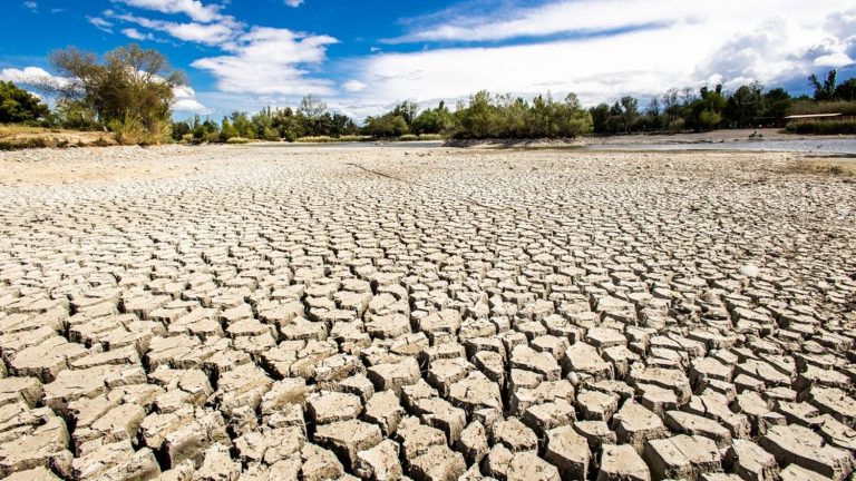 “two-thirds” of French groundwater levels show a level “below seasonal norms”, warns the Minister for Ecological Transition