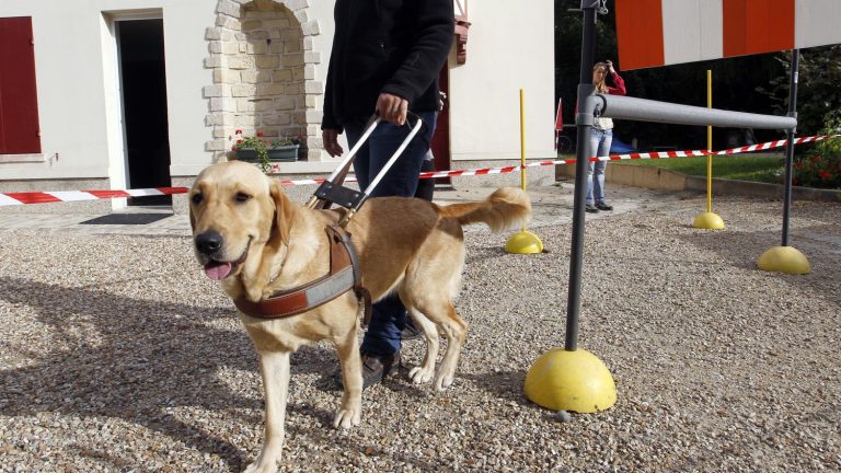 visually impaired, Roxane denounces an unsuitable RATP network for visually impaired people