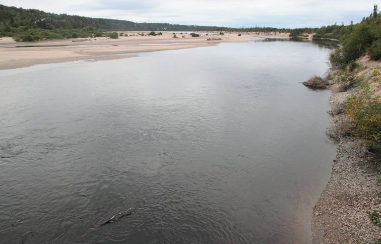 A merciless fight against trihalomethanes in drinking water