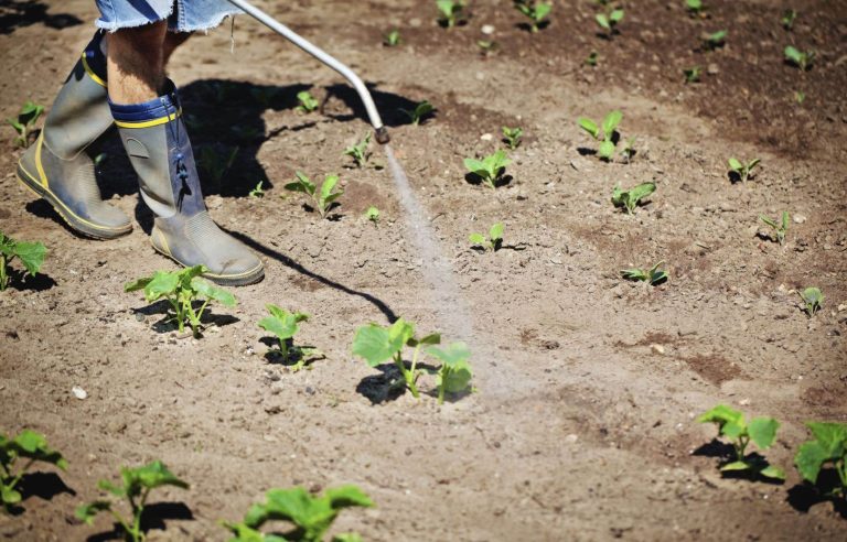 A scientific advisor resigns from Health Canada and calls for an overhaul of the pesticides section