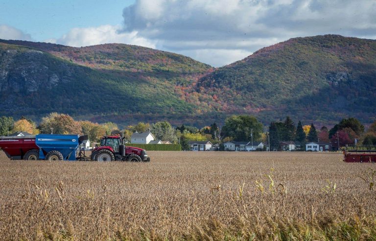 A tough season for farmers’ morale