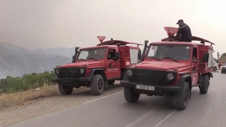 Algeria: dozens of people died because of the fires affecting the country