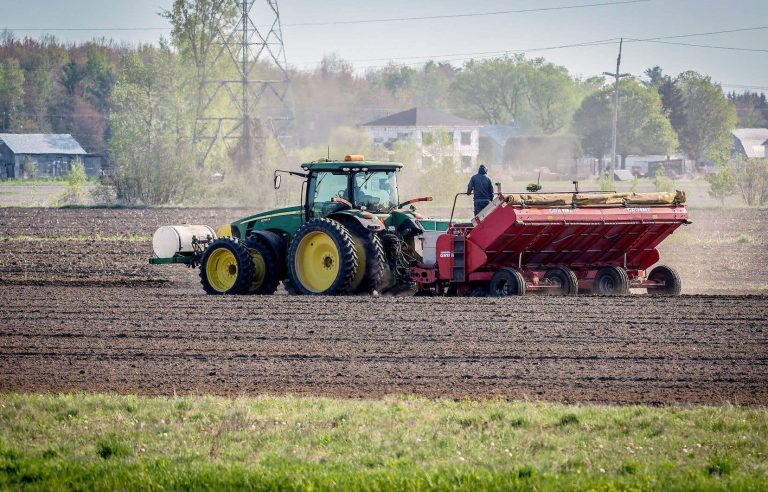 Bad weather and agriculture: not the end of the beans yet, but…